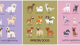 Adorable Drawings of Dog Breeds, Grouped By Their Place of Origin